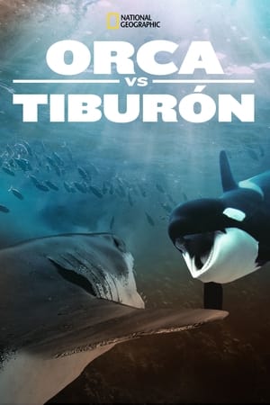 Póster de la película Orca Vs. Great White