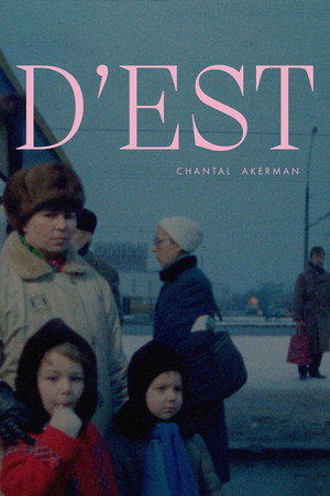 Póster de la película D'Est (From the East)