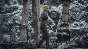The Witcher