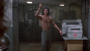 The Fly