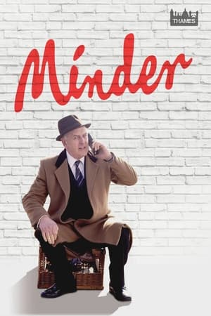 Póster de la serie Minder