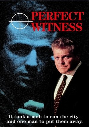 Póster de la película Perfect Witness