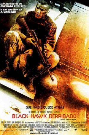 Póster de la película Black Hawk derribado