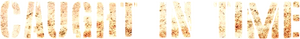 除暴
