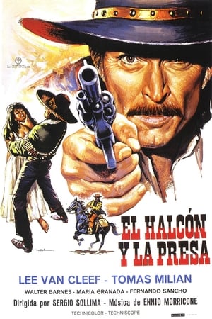 Póster de la película El halcón y la presa