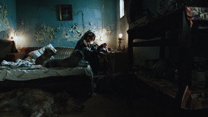 Amores perros