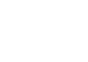Emily la criminal