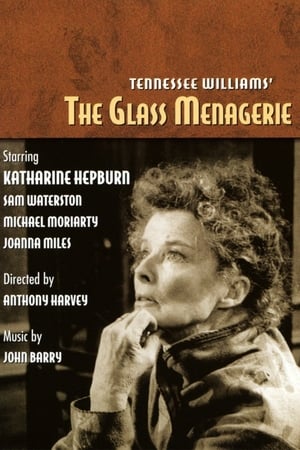 Póster de la película The Glass Menagerie