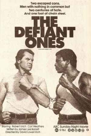 Póster de la película The Defiant Ones