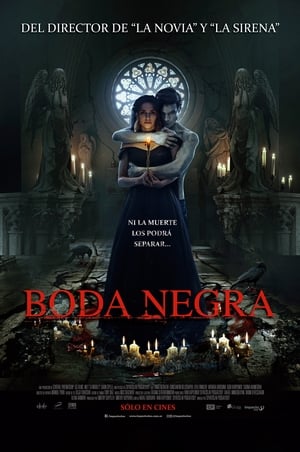 Póster de la película Dark Spell