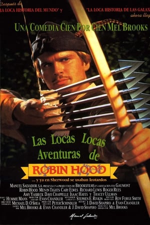 Póster de la película Las locas, locas aventuras de Robin Hood