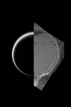 I’m Trying to Speak the Language of My Eyes