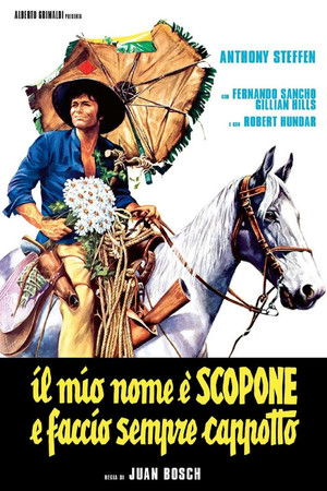 Póster de la película Il mio nome è Scopone e faccio sempre cappotto