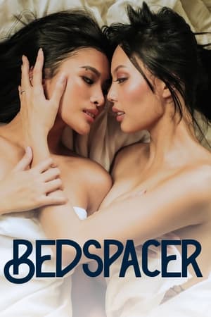 Póster de la película Bedspacer