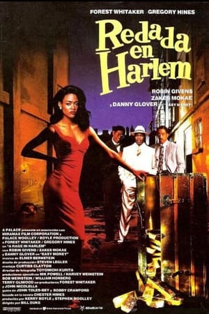 Póster de la película Redada en Harlem