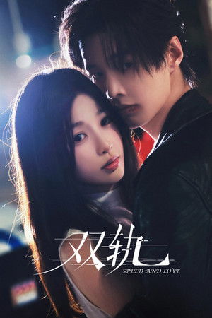 Póster de la serie 双轨