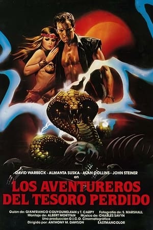 Póster de la película Los aventureros del tesoro perdido