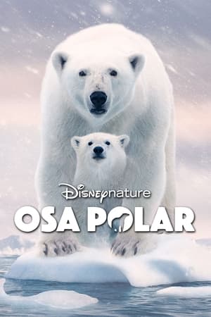 Póster de la película Osa Polar