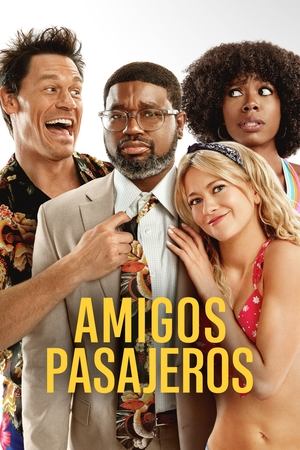 Póster de la película Amigos pasajeros