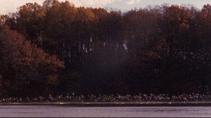 Dead Poets Society