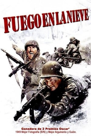 Póster de la película Fuego en la nieve