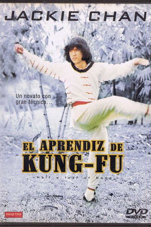 Póster de la película El aprendiz de Kung Fu