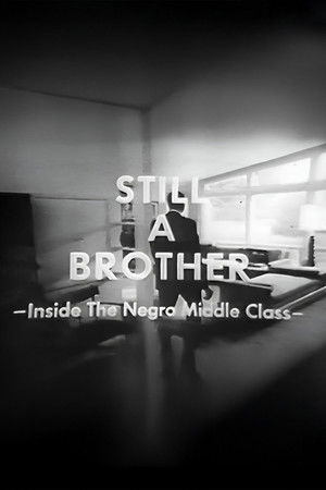 Still A Brother: Inside the Negro Middle Class