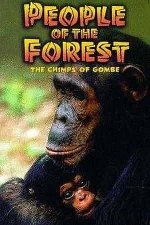 Póster de la película People of the Forest: The Chimps of Gombe
