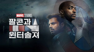 The Falcon and the Winter Soldier