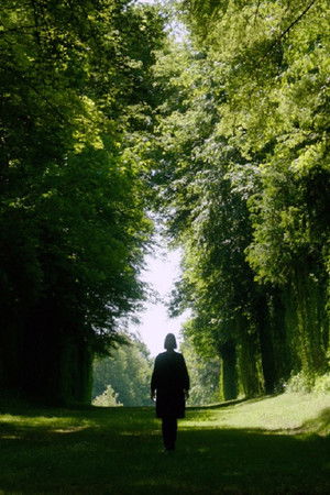 Default Netflix logo