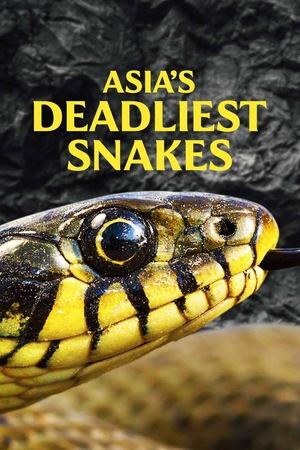 Póster de la película Asia's Deadliest Snakes