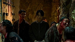 군체