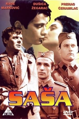 Póster de la película Saša