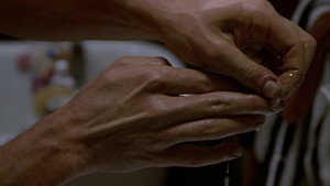 The Fly