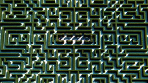 The Shining