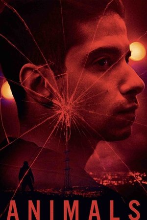 Póster de la película Animals