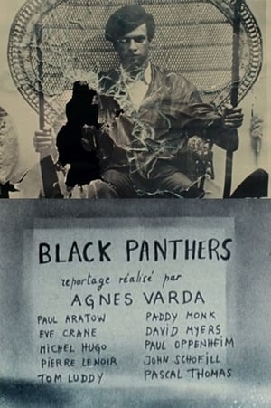 Póster de la película Black Panthers