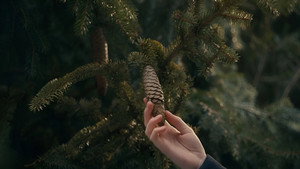 Anne with an E