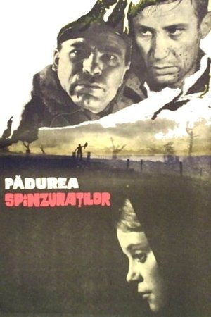 Póster de la película Pădurea spânzuraţilor