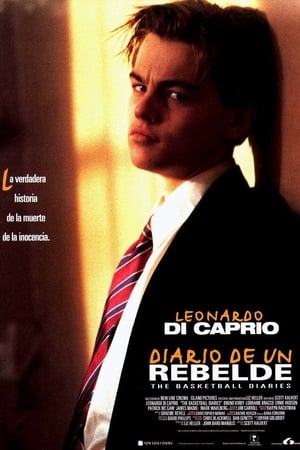 Póster de la película Diario de un rebelde