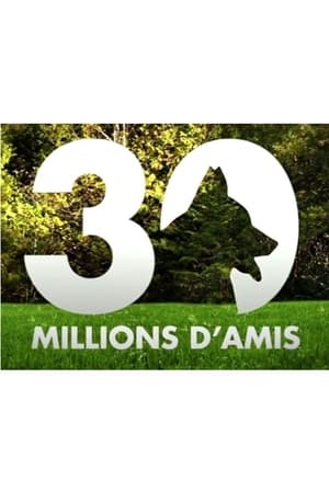 Póster de la serie 30 millions d'amis