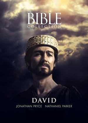 Póster de la película La Biblia: David