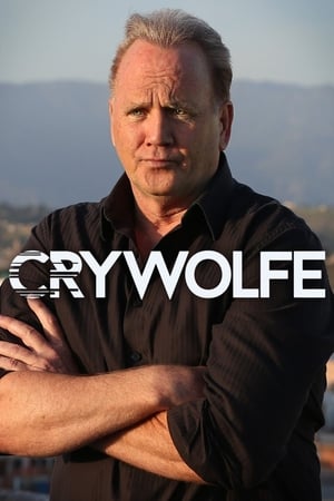 Póster de la serie Cry Wolfe