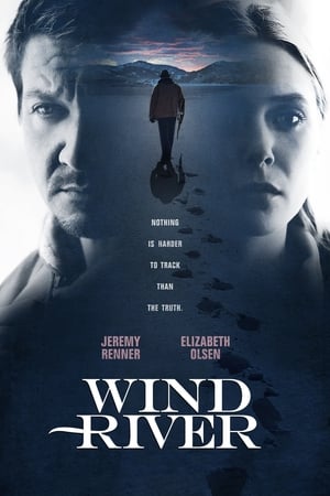 Póster de la película Wind River