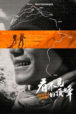 watch invisible summit movie poster
