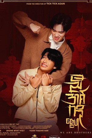 watch we are brothers tv show poster