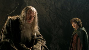 The Lord of the Rings: The Fellowship of the Ring