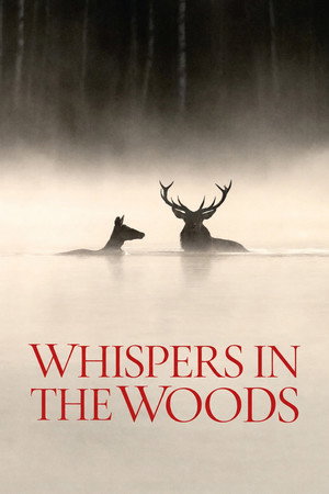 Whispers in the Woods