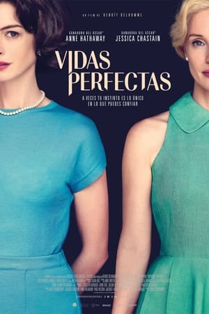 Póster de la película Vidas perfectas