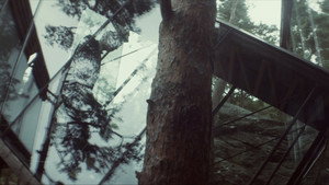 Ex Machina